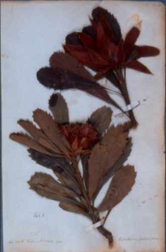 Same, after conservation Same, after conservation